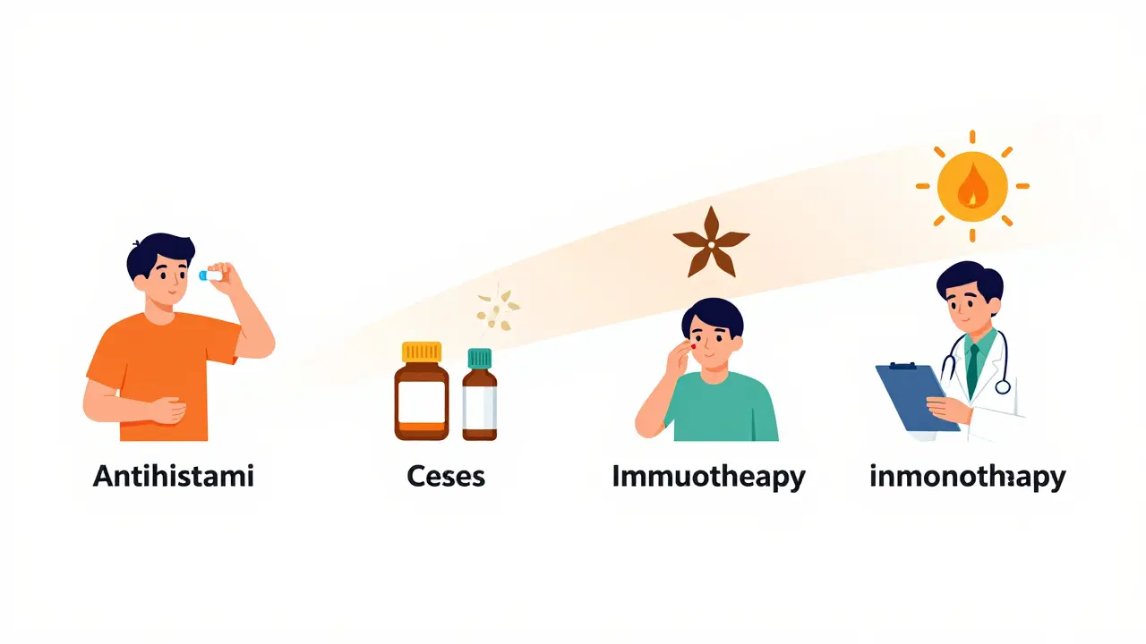 Timeline showing progression from pill to higher dose to immunotherapy, with allergy triggers fading away.