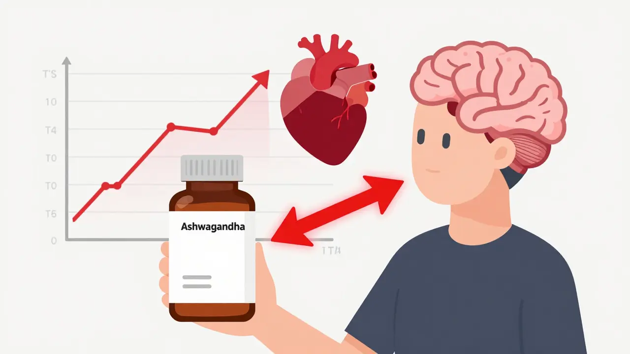 Ashwagandha and Thyroid Medications: The Hidden Risk of Over-Replacement