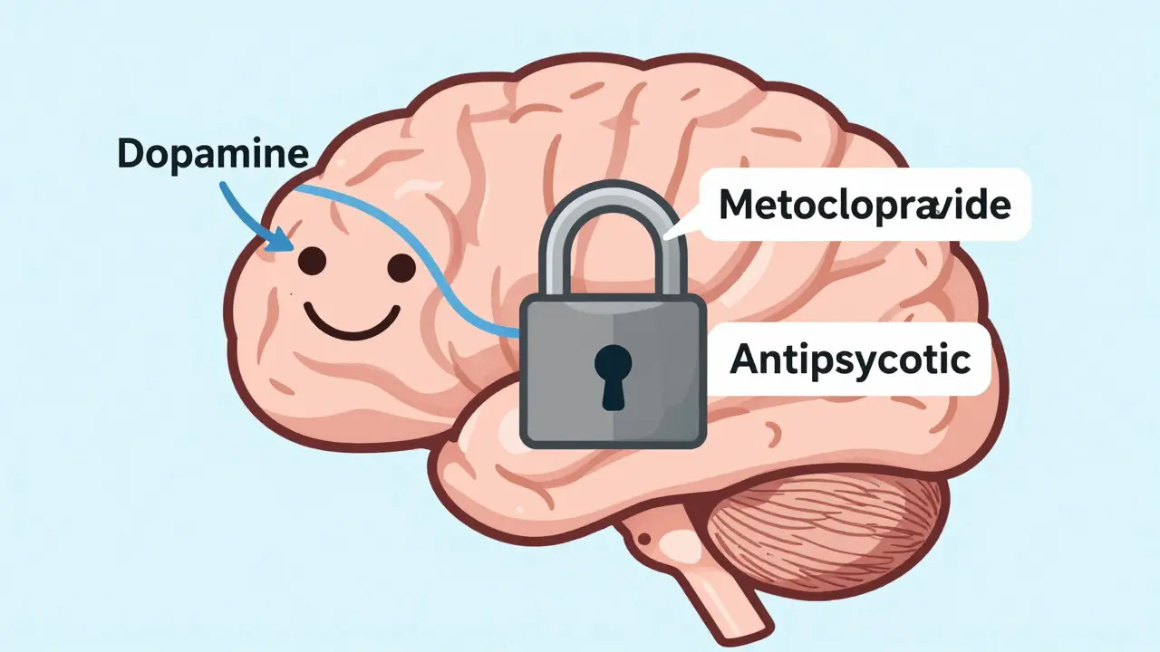 Metoclopramide and Antipsychotics: The Hidden Risk of Neuroleptic Malignant Syndrome